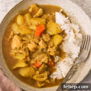 an overhead shot of japanese curry in a white bowl with rice
