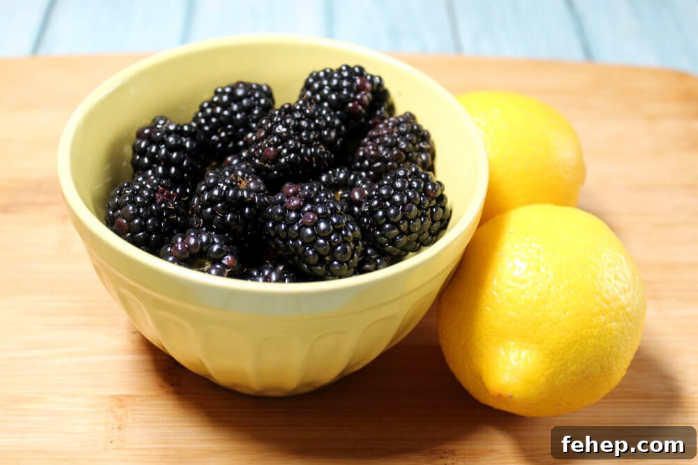 Blackberry Lemon Keto Iced Tea2