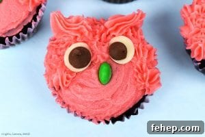 How to Make Adorable Owl Cupcakes for Parties and Gifts 2 Owl Cupcakes are soft and fluffy chocolate cupcake decorated with a vanilla buttercream to look like gorgeous, googly eyed owls! Perfect for a birthday cake, party, get together or just for fun. #owlcupcakes #pinkowl