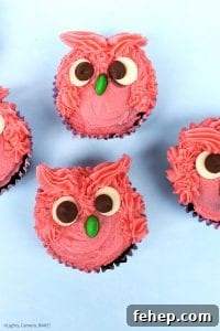 How to Make Adorable Owl Cupcakes for Parties and Gifts 4 Owl Cupcakes are soft and fluffy chocolate cupcake decorated with a vanilla buttercream to look like gorgeous, googly eyed owls! Perfect for a birthday cake, party, get together or just for fun. #owlcupcakes #pinkowl