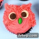How to Make Adorable Owl Cupcakes for Parties and Gifts 8 Owl Cupcakes are soft and fluffy chocolate cupcake decorated with a vanilla buttercream to look like gorgeous, googly eyed owls! Perfect for a birthday cake, party, get together or just for fun. #owlcupcakes #pinkowl