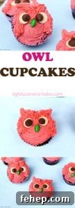 How to Make Adorable Owl Cupcakes for Parties and Gifts 9 Owl Cupcakes are soft and fluffy chocolate cupcake decorated with a vanilla buttercream to look like gorgeous, googly eyed owls! Perfect for a birthday cake, party, get together or just for fun. #owlcupcakes #pinkowl