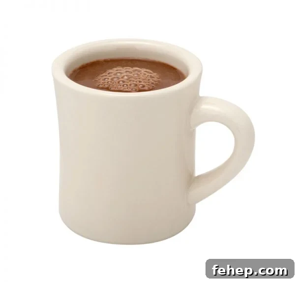 Low Calorie Hot Chocolate (Sugar-Free, Dairy-Free)
