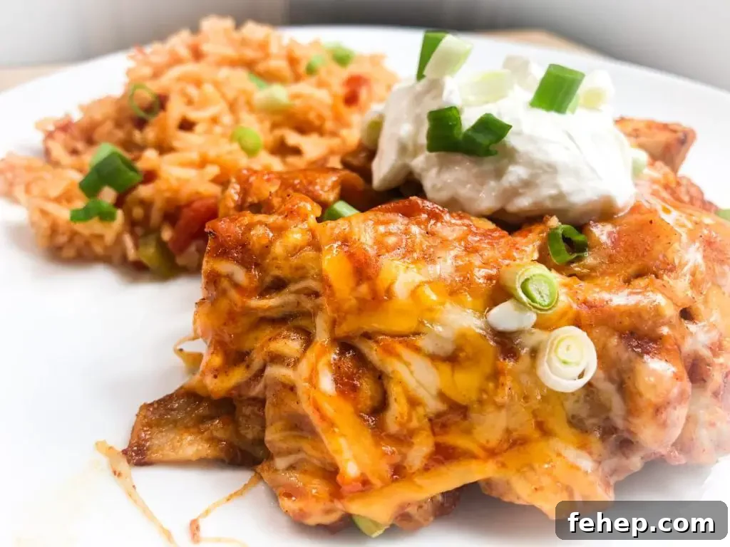 One-Skillet Chicken Enchiladas in 30 Minutes 2 img 6032 1