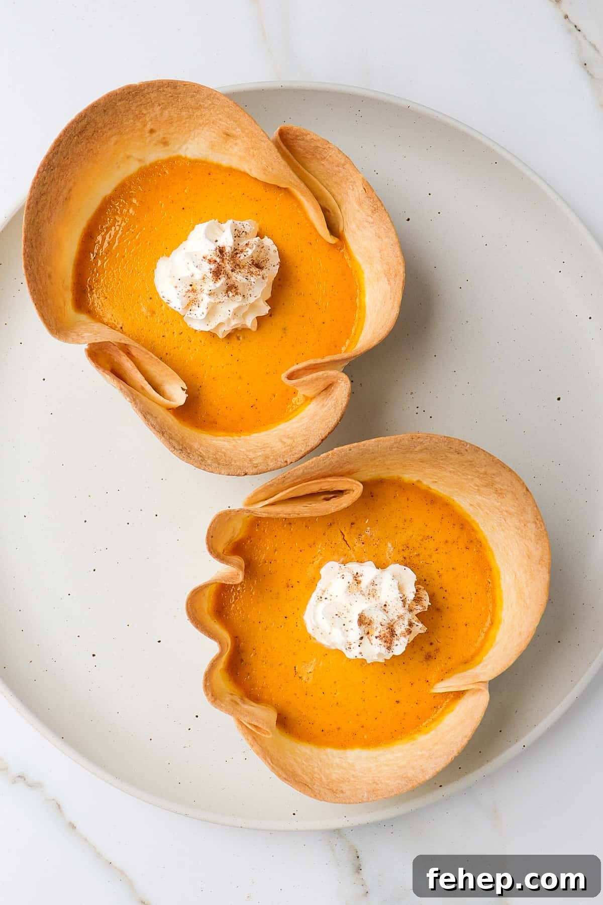 Two pumpkin pies on a plate.