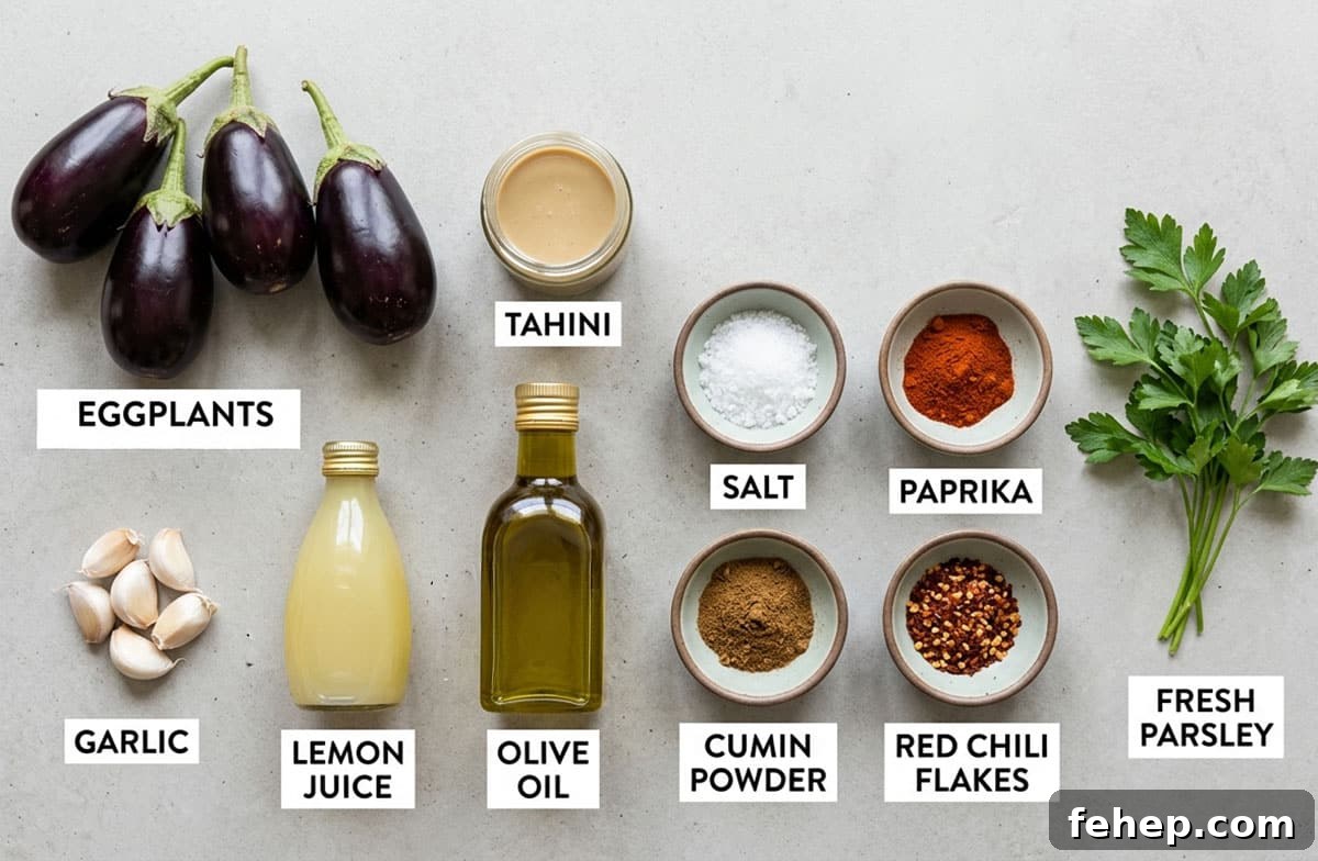 Ingredients for recipe on neutral dull gray background.