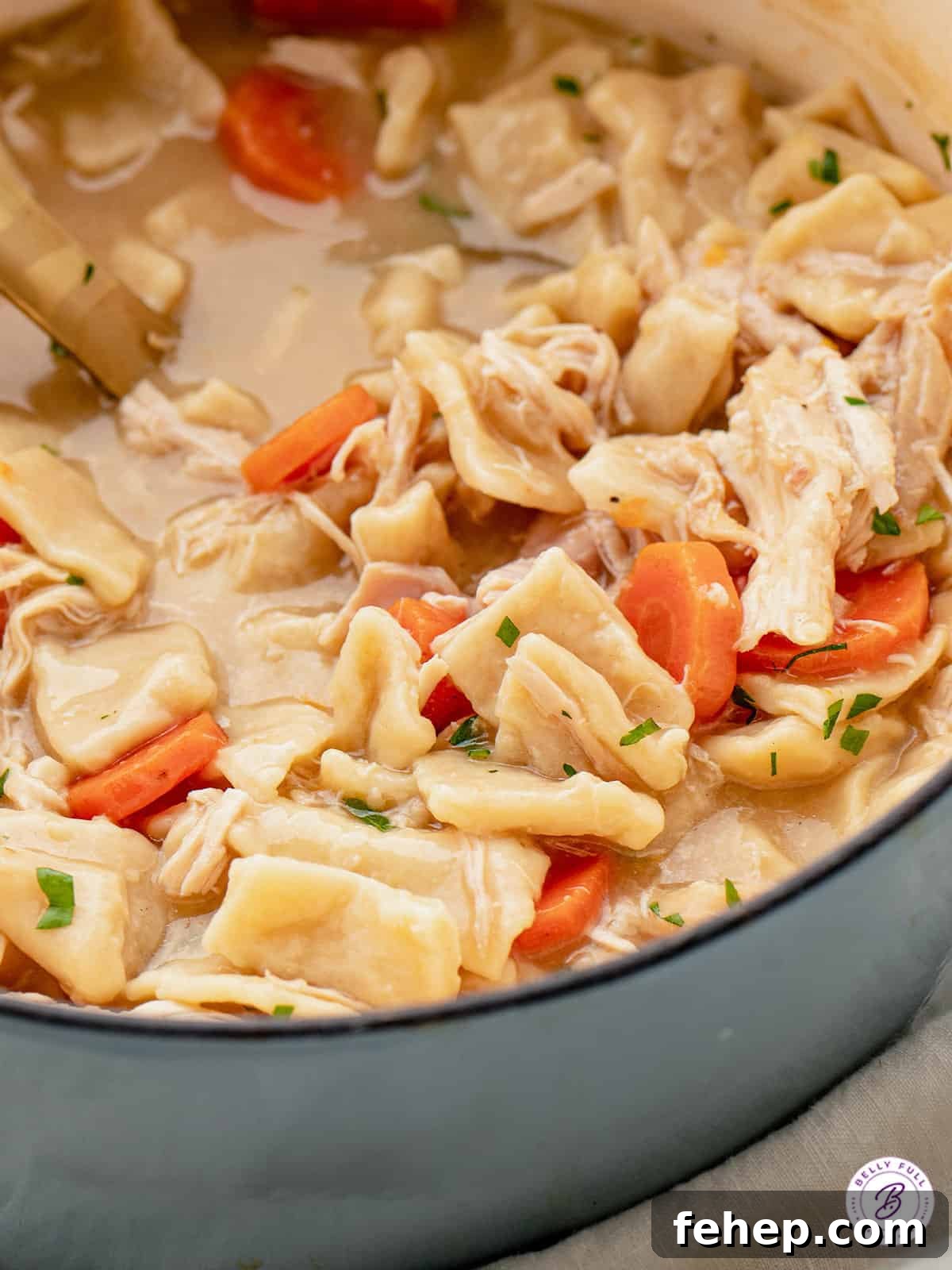 Classic Chicken and Dumplings Recipe for Comforting Weeknight Dinner 9 Close-up of a pot of chicken and dumplings.