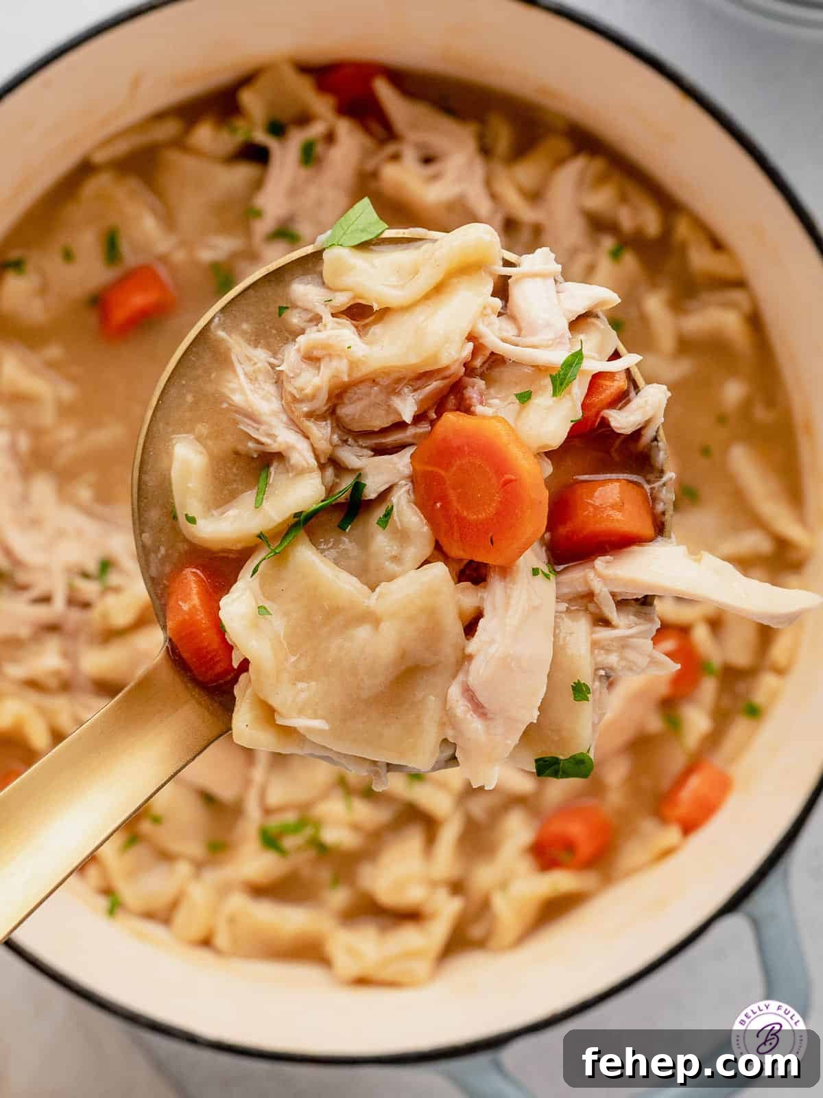 Classic Chicken and Dumplings Recipe for Comforting Weeknight Dinner 10 A ladle of chicken and dumplings over a pot.