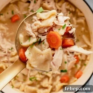 Classic Chicken and Dumplings Recipe for Comforting Weeknight Dinner 2 A ladle of chicken and dumplings over a pot