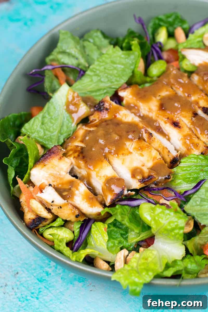 Thai Chili Vinaigrette is a Panera Copycat of your favorite peanut sauce! It is a little sweet, a little spicy and tastes amazing on everything!