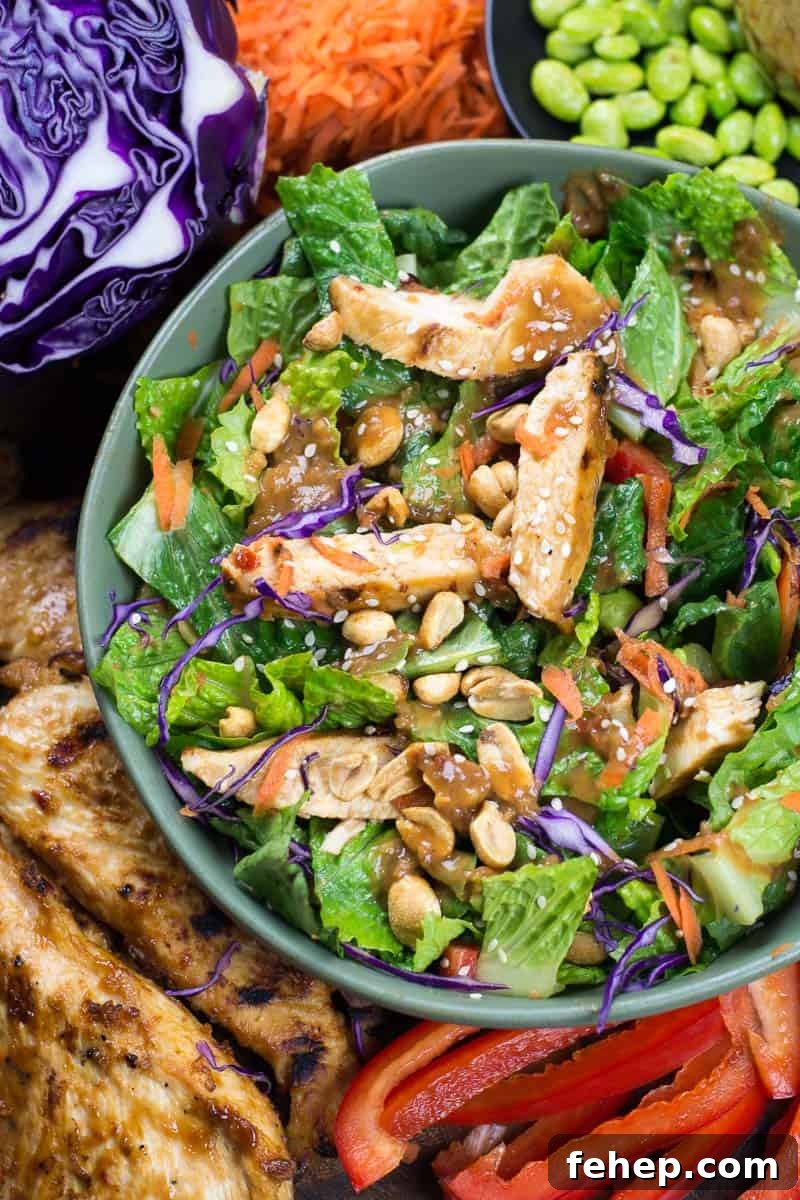 Spicy Thai Salad with Chicken is a Panera favorite you can make at home now! This delicious Thai Chili Vinaigrette peanut sauce will be a new favorite.