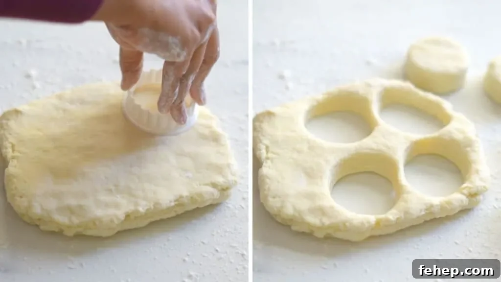 30-Minute Homemade Biscuits Without Buttermilk: Flaky Recipe 5 how to make biscuits at home