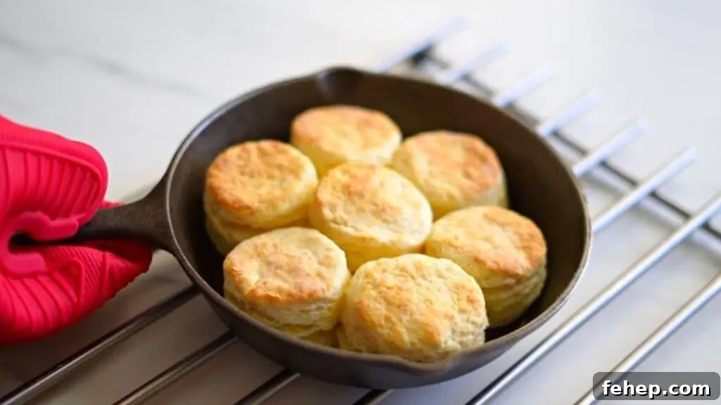 30-Minute Homemade Biscuits Without Buttermilk: Flaky Recipe 7 easy homemade biscuits with all purpose flour