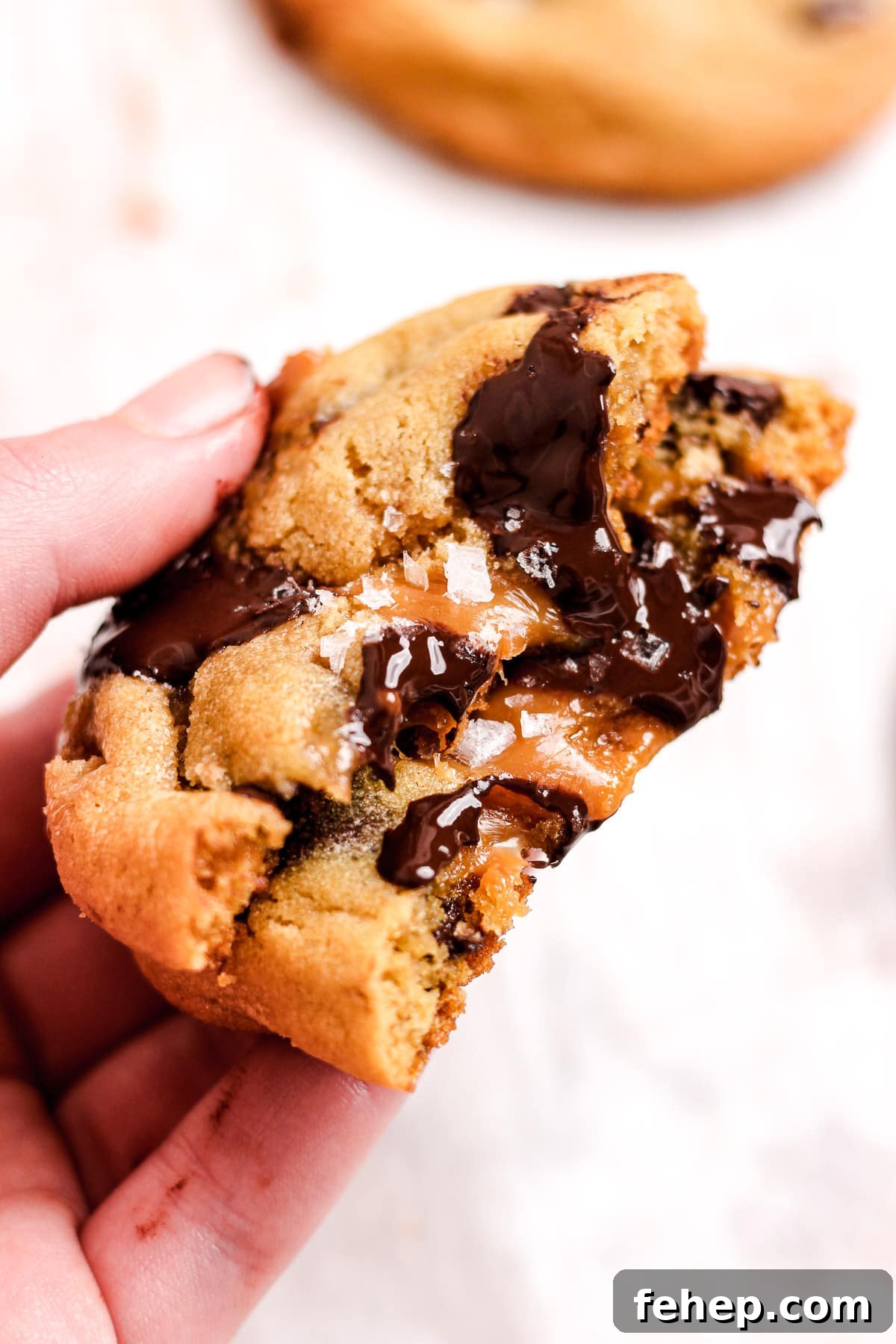 Cookie close-up