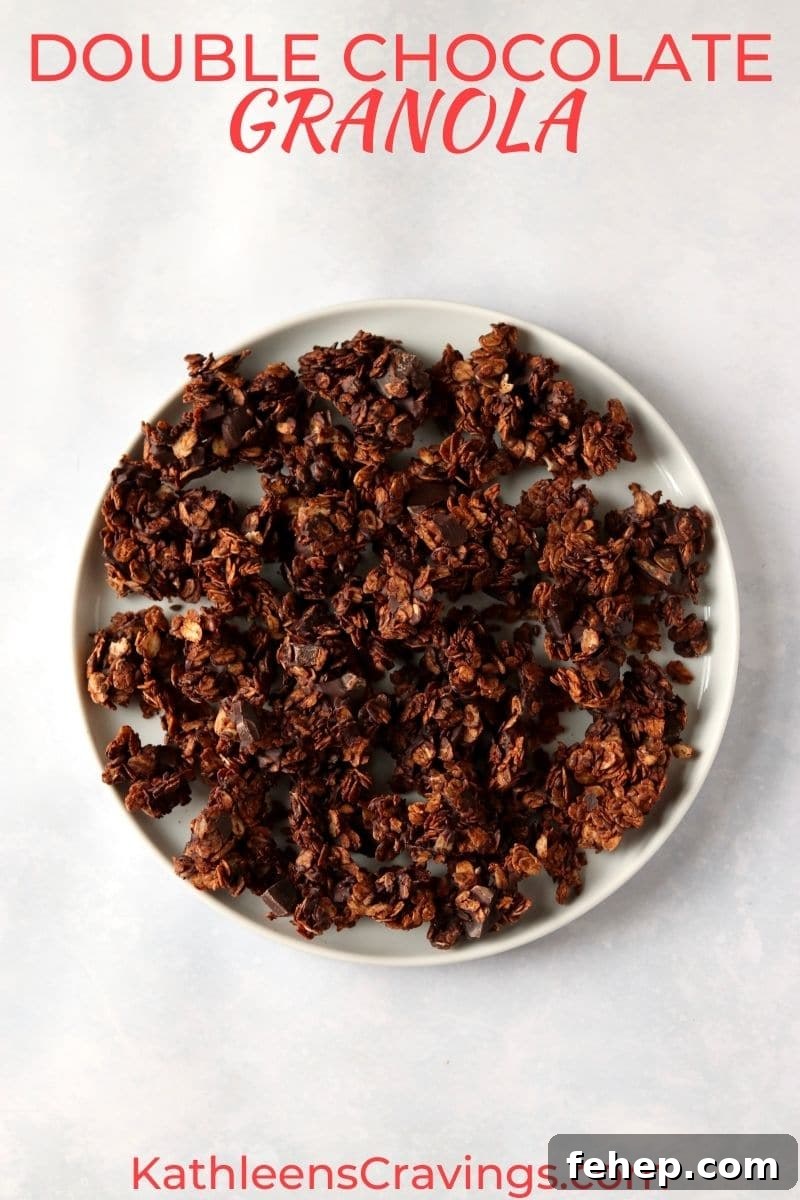 Decadent Vegan Double Chocolate Granola Recipe 2 vegan chocolate granola clusters on a plate