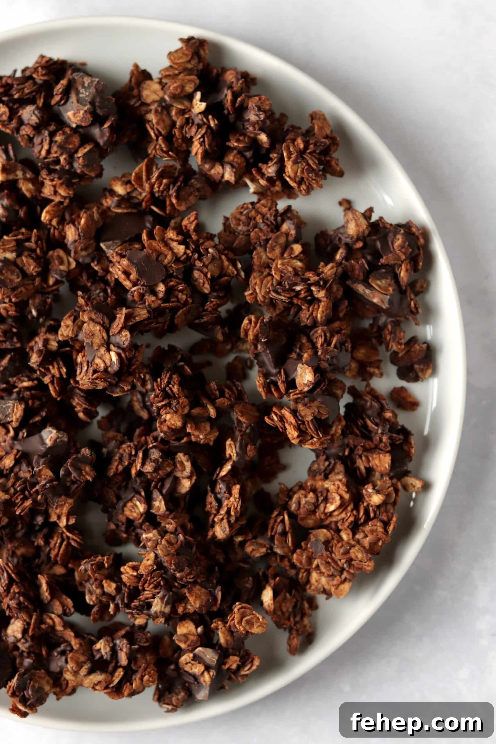 Decadent Vegan Double Chocolate Granola Recipe 7 Plate of double chocolate granola