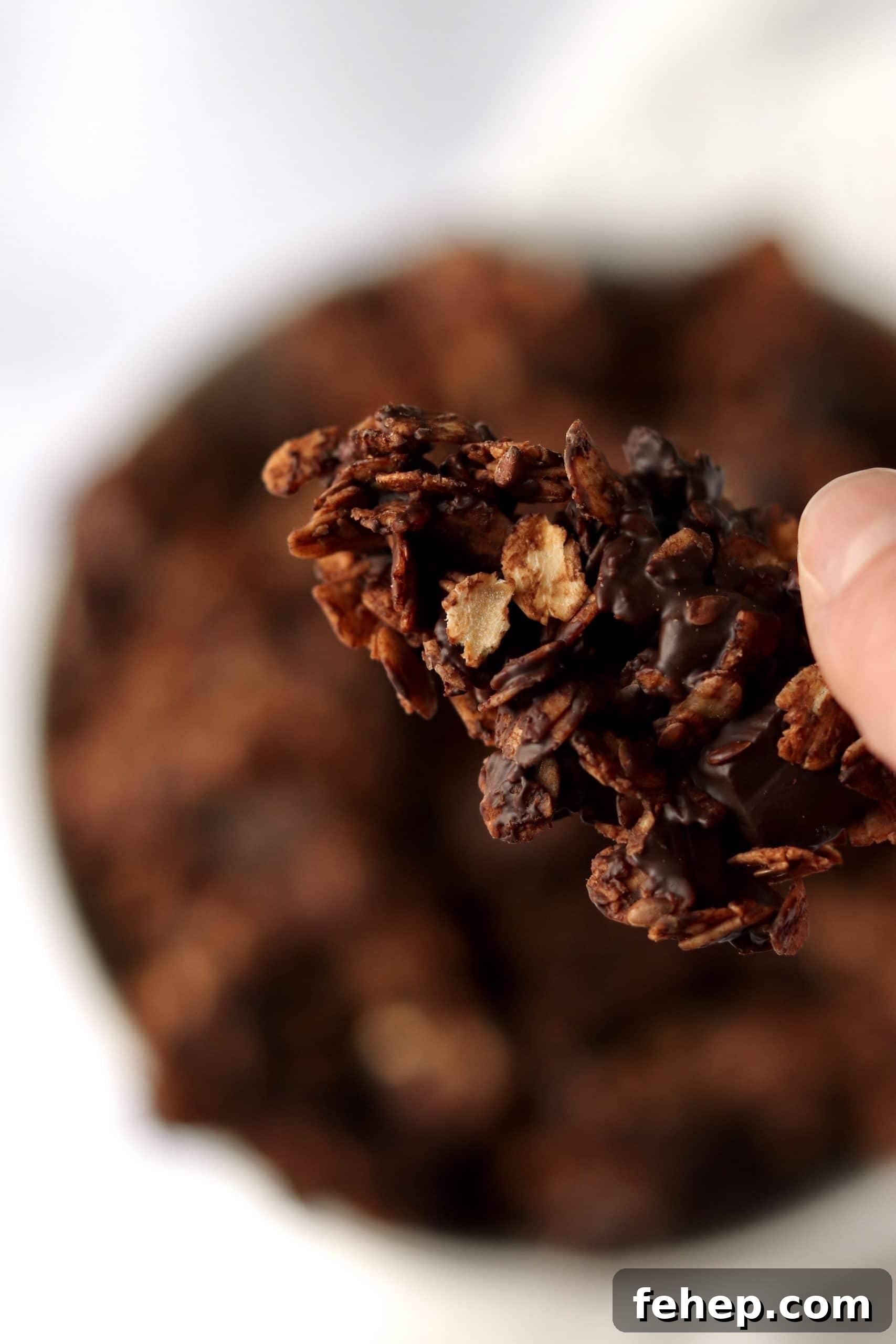 Decadent Vegan Double Chocolate Granola Recipe 8 Close up of a piece of chocolate granola