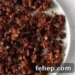 Plate of double chocolate granola