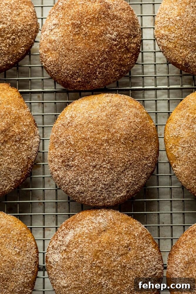 Apple Cider Whoopie Pies Recipe for Fall Baking Success 4 img 6860 3