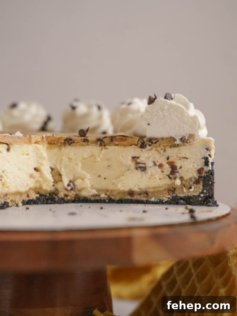 Copycat Cookie Dough Cheesecake Factory Cheesecake Recipe 2 Cookie Dough Cheesecake