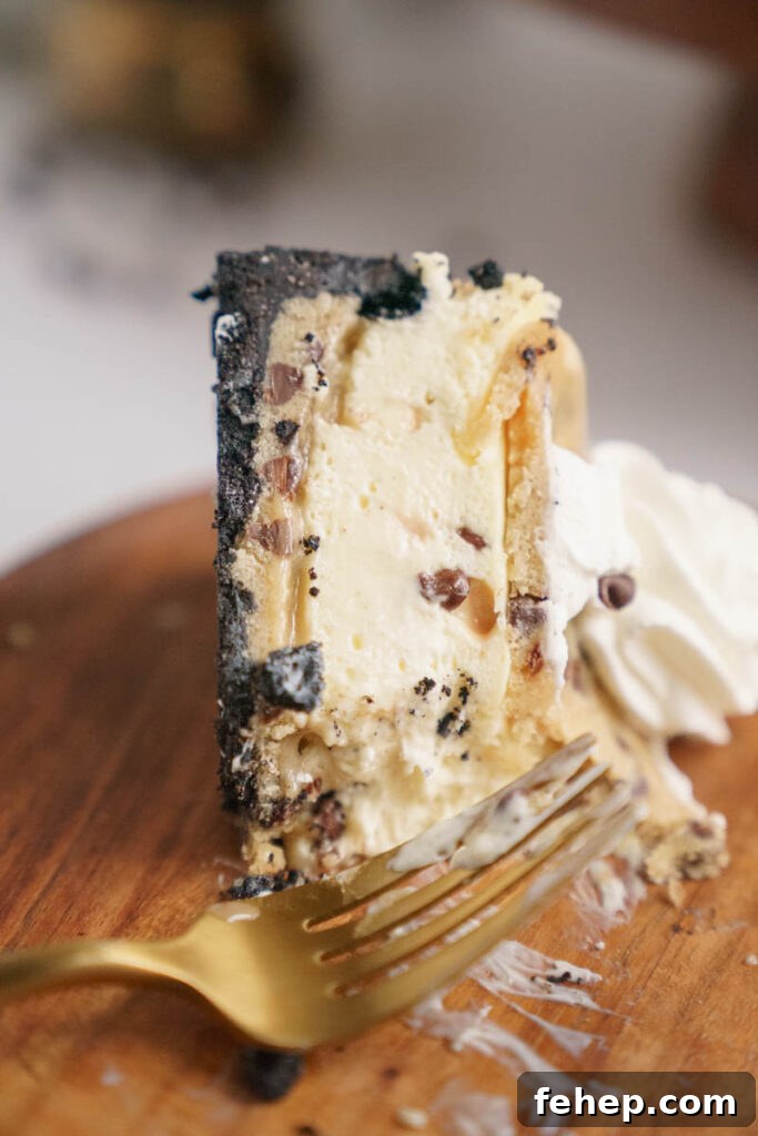 Copycat Cookie Dough Cheesecake Factory Cheesecake Recipe 3 img 6888 2