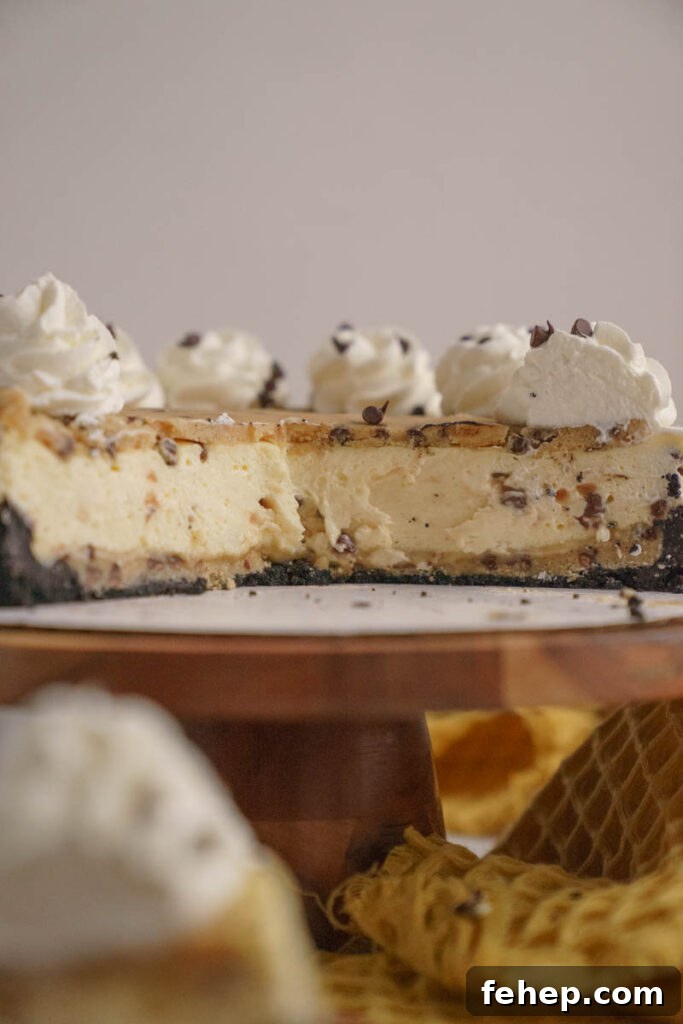 Copycat Cookie Dough Cheesecake Factory Cheesecake Recipe 4 img 6888 3