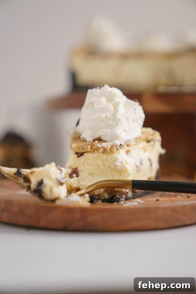 Copycat Cookie Dough Cheesecake Factory Cheesecake Recipe 6 img 6888 5