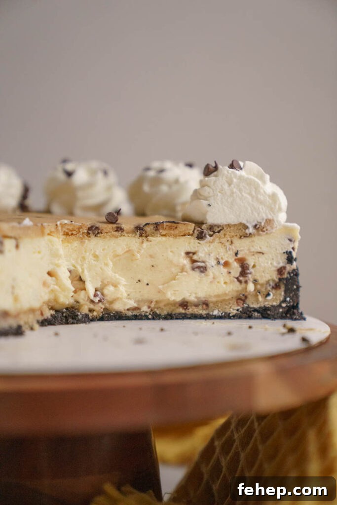 Copycat Cookie Dough Cheesecake Factory Cheesecake Recipe 7 img 6888 6