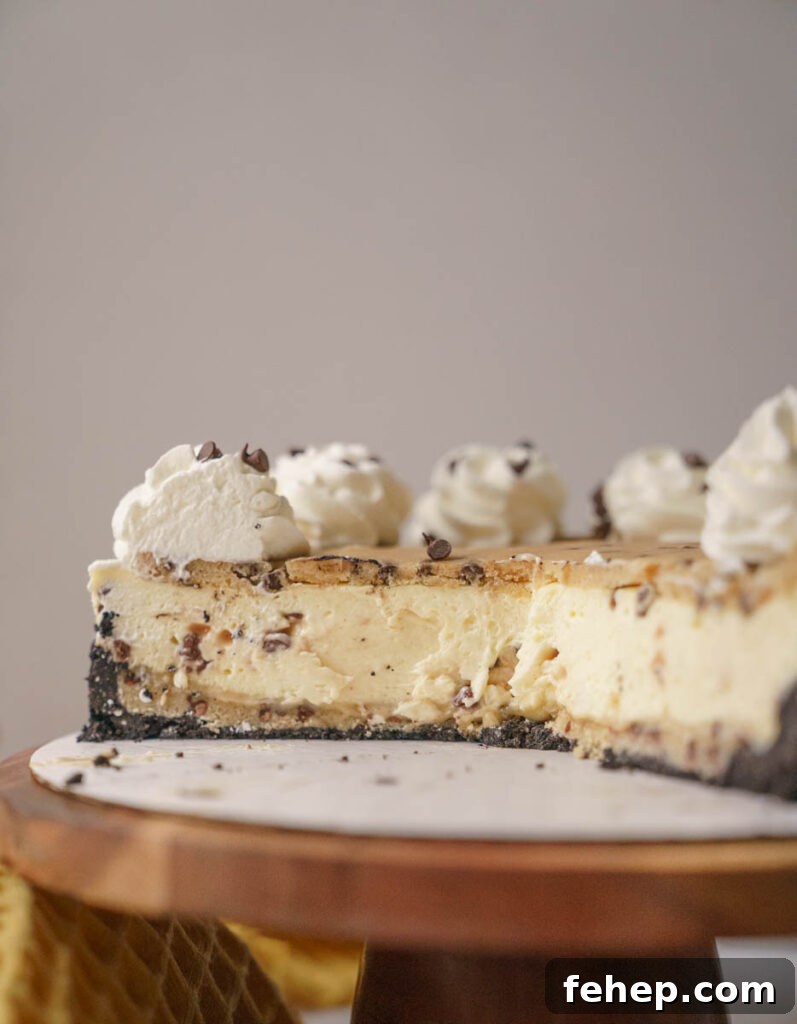 Copycat Cookie Dough Cheesecake Factory Cheesecake Recipe 8 img 6888 7