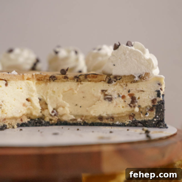Copycat Cookie Dough Cheesecake Factory Cheesecake Recipe 9 Cookie Dough Cheesecake