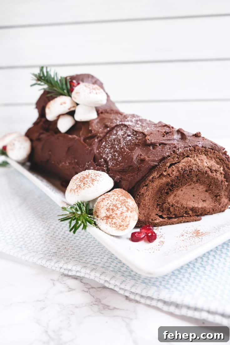 Bûche de Noël