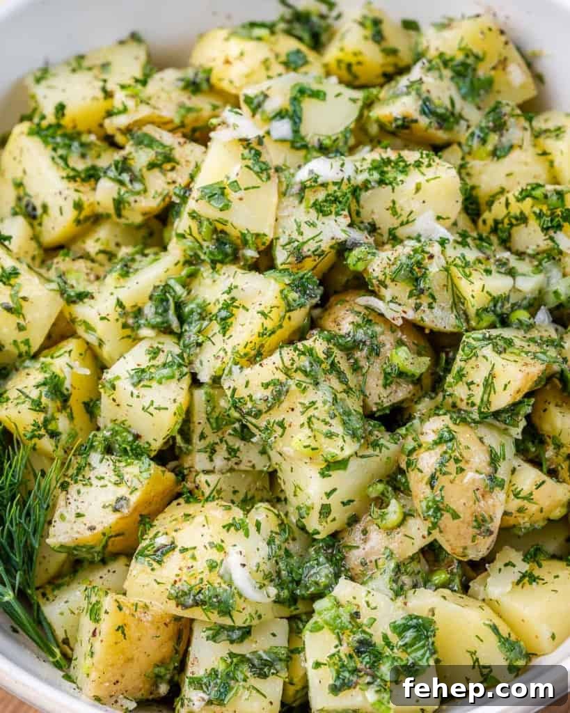 Classic Herbed Potato Salad with Fresh Dill and Chives 3 Potato salad with herbs.