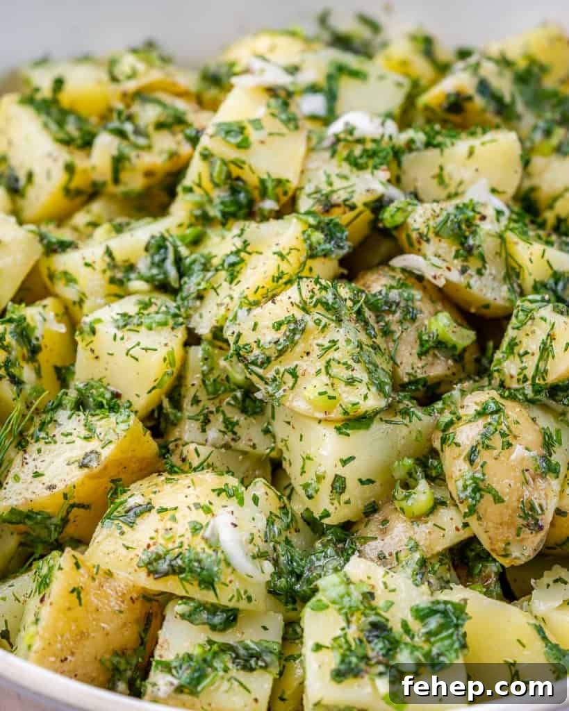 Classic Herbed Potato Salad with Fresh Dill and Chives 9 close up image of herbed green color potato salad