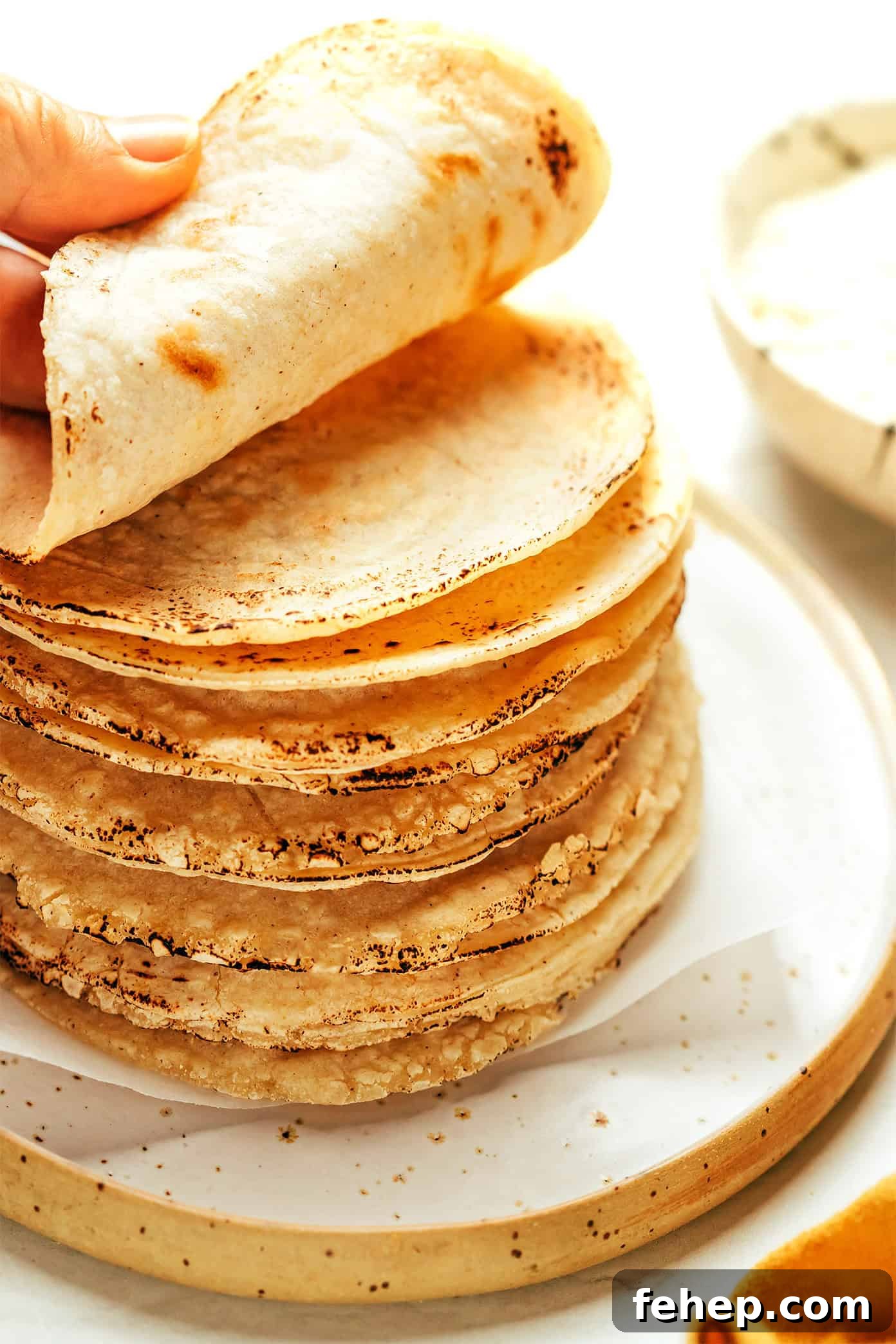 Authentic Corn Tortilla Recipe: How to Make Homemade Tortillas 2 img 72270 1