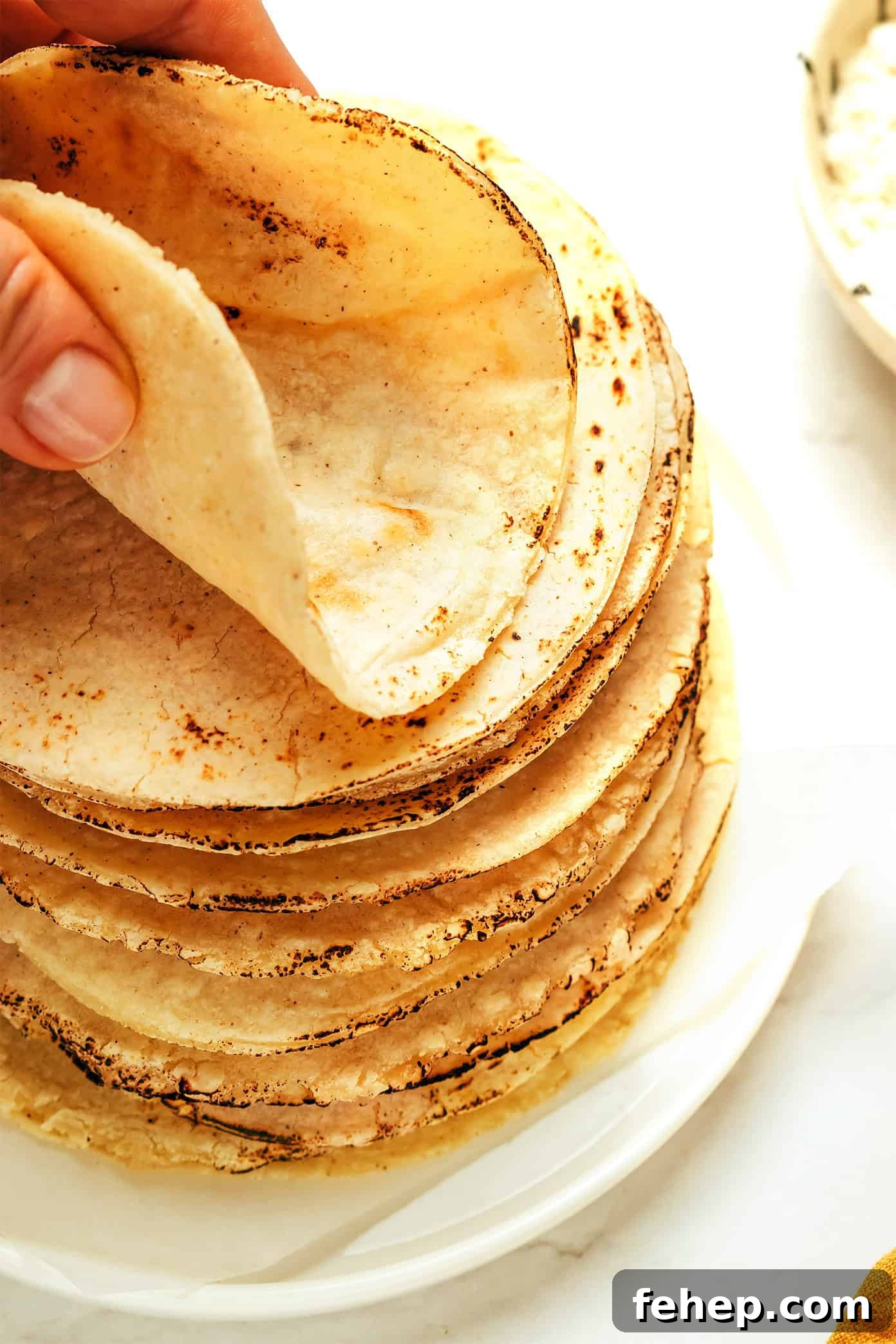 Authentic Corn Tortilla Recipe: How to Make Homemade Tortillas 5 img 72270 4