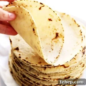 Authentic Corn Tortilla Recipe: How to Make Homemade Tortillas 6 Corn Tortillas