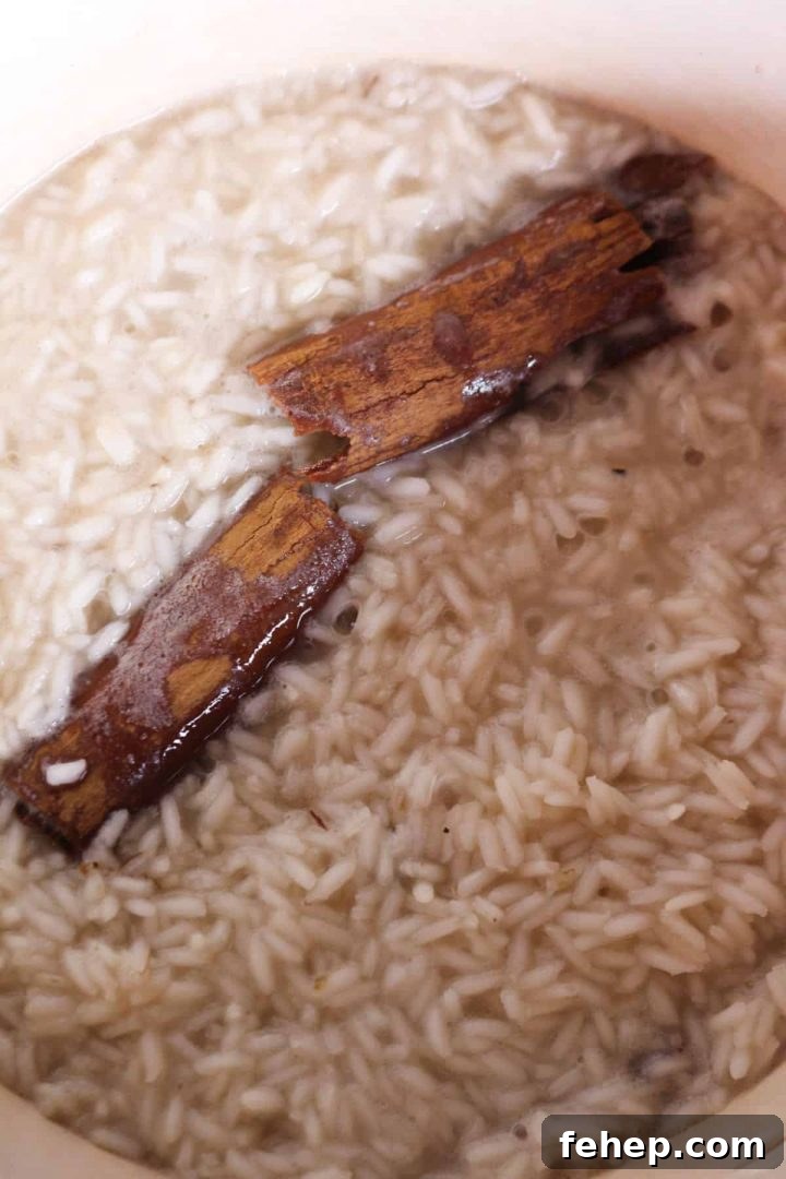Rice cooking with liquid and cinnamon sticks