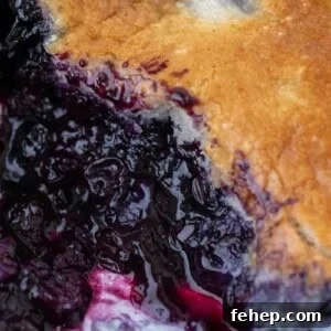 Blueberry cobbler recipe