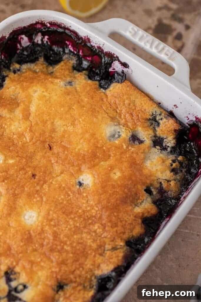 Blueberry cobbler recipe