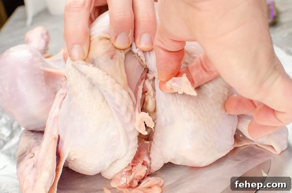 How to Roast a Small Whole Turkey: Step-by-Step Guide 5 Pulling out the wishbone of the small turkey placed on silver tin foil