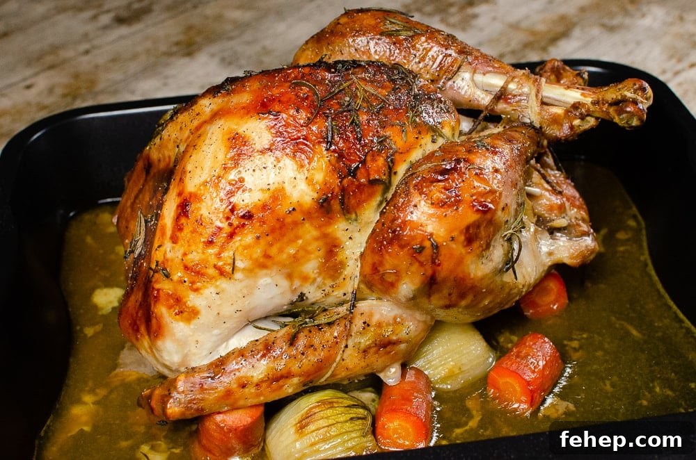 How to Roast a Small Whole Turkey: Step-by-Step Guide 9 Cooked Small Whole Turkey on cut up onions and carrots in a black roasting tin