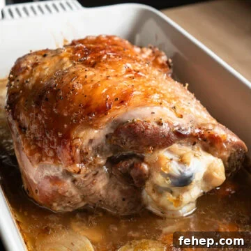 Slow cooked turkey thigh