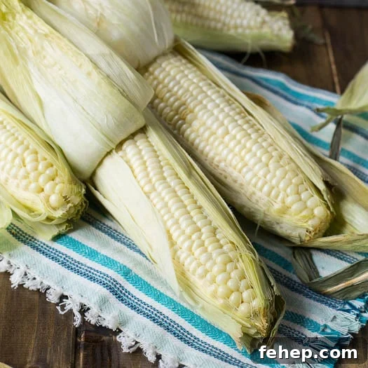 Crispy Roasted Corn Recipe with Garlic Butter and Herbs 2 Roasted Corn