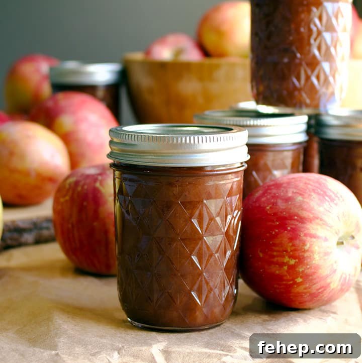 Slow-Cooker Apple Butter Recipe — No Peeling Needed 4 No peel, slow cooker apple butter for canning.