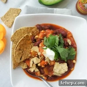 A bowl of eggplant chili shown garnished with chips and cilantro.