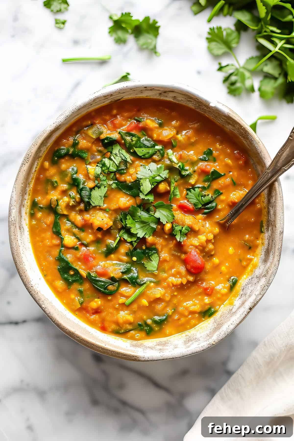 Red lentil curry (dhal) with spinach and tomatoes topped with cilantro.