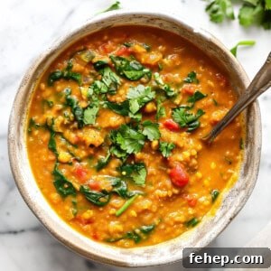 Red lentil curry (dhal) with spinach and tomatoes topped with cilantro.