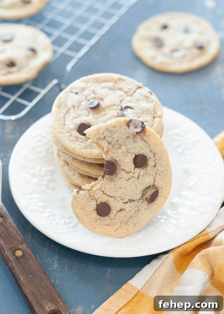 gluten-free-dairy-free-chocolate-chip-cookies-stacked-with-one-bite-taken