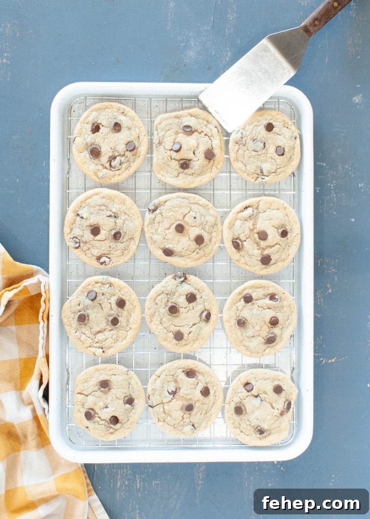 a dozen gluten-free-dairy-free-chocolate-chip-cookies on a baking sheet shot from above