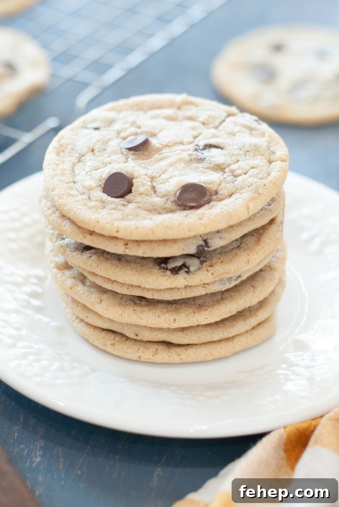 stack-of-gluten-free-dairy-free-chocolate-chip-cookies-on-a-white-plate